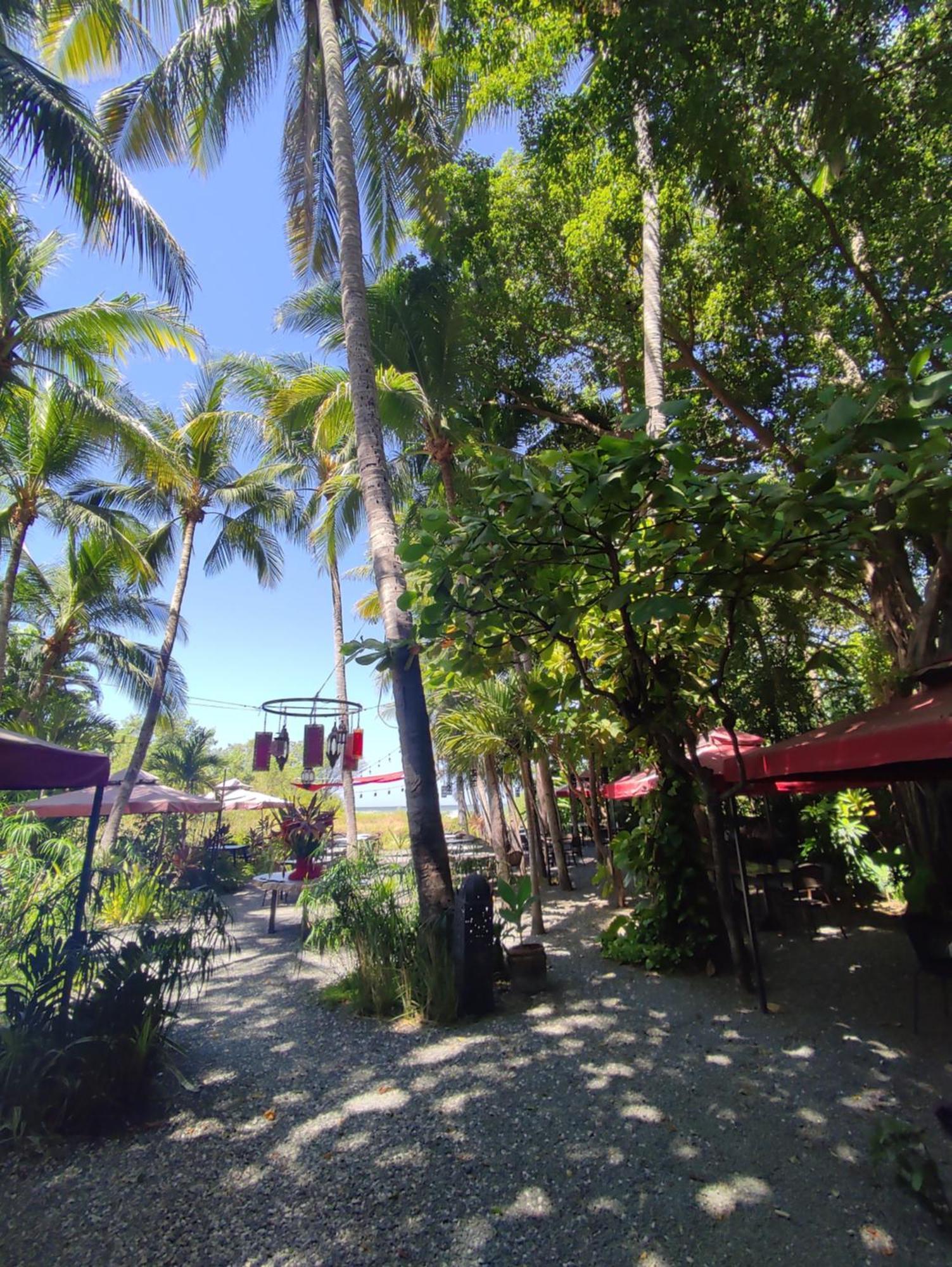 Hotel Laguna Del Cocodrilo Tamarindo Buitenkant foto