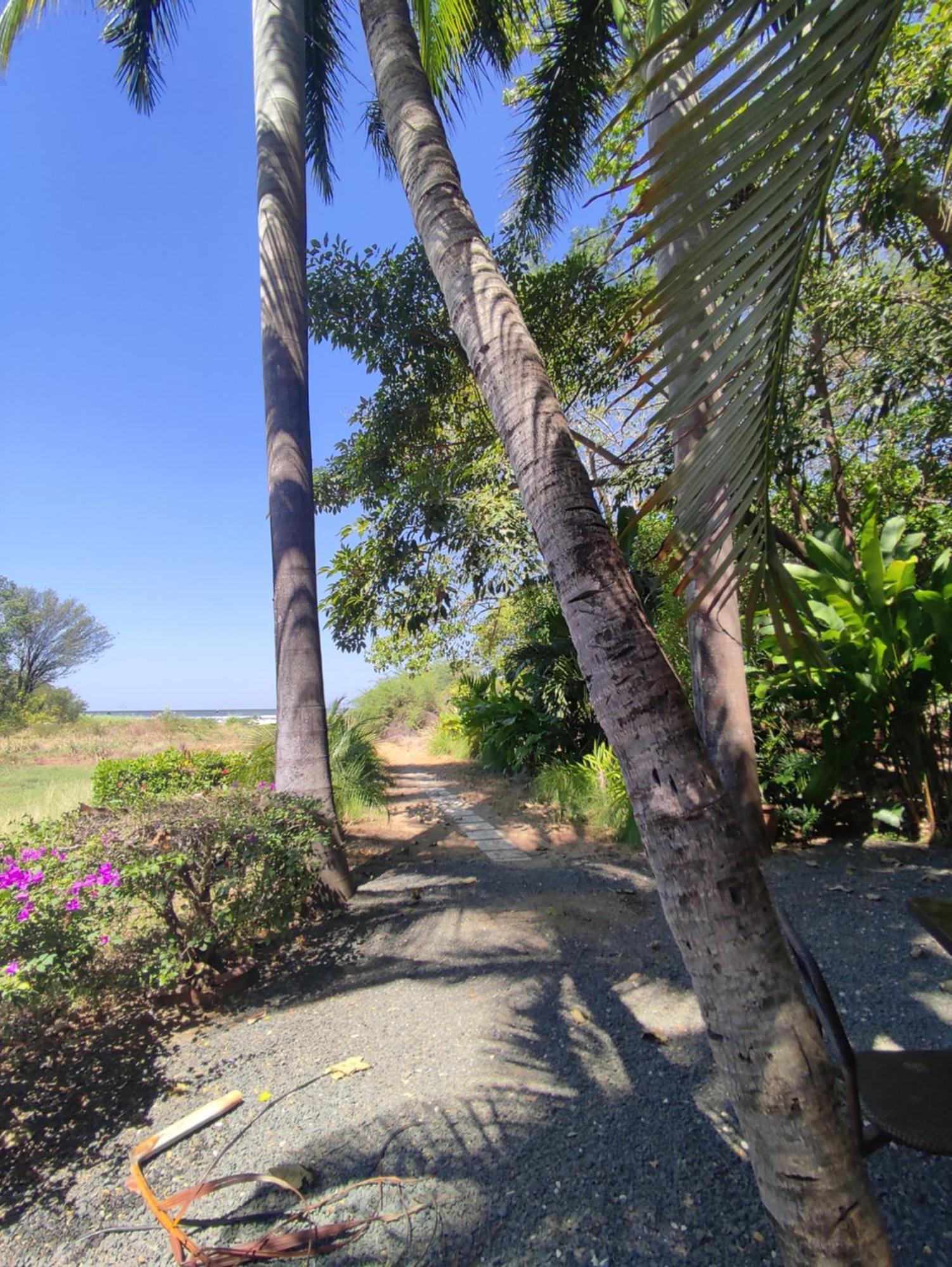 Hotel Laguna Del Cocodrilo Tamarindo Buitenkant foto