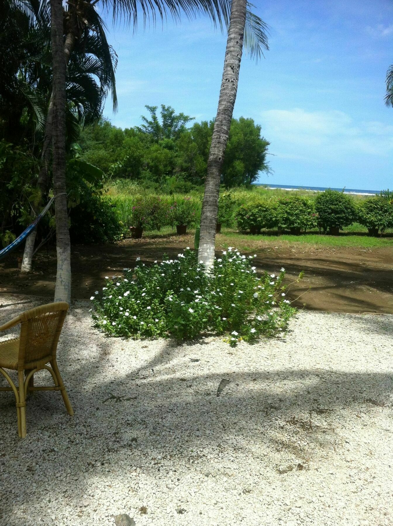 Hotel Laguna Del Cocodrilo Tamarindo Buitenkant foto