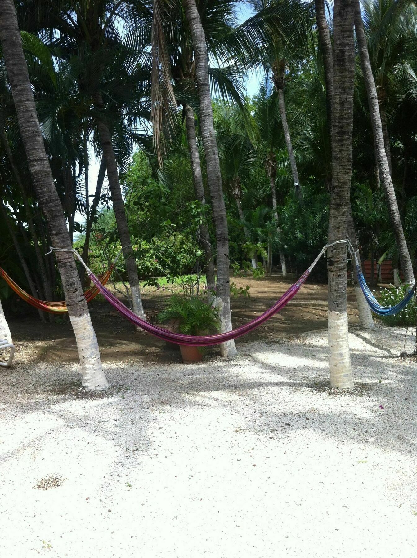 Hotel Laguna Del Cocodrilo Tamarindo Buitenkant foto